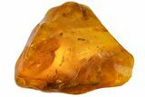 Fossil Ant (Formicidae), Fly (Diptera) & Amber Shard In Baltic Amber #142186-4